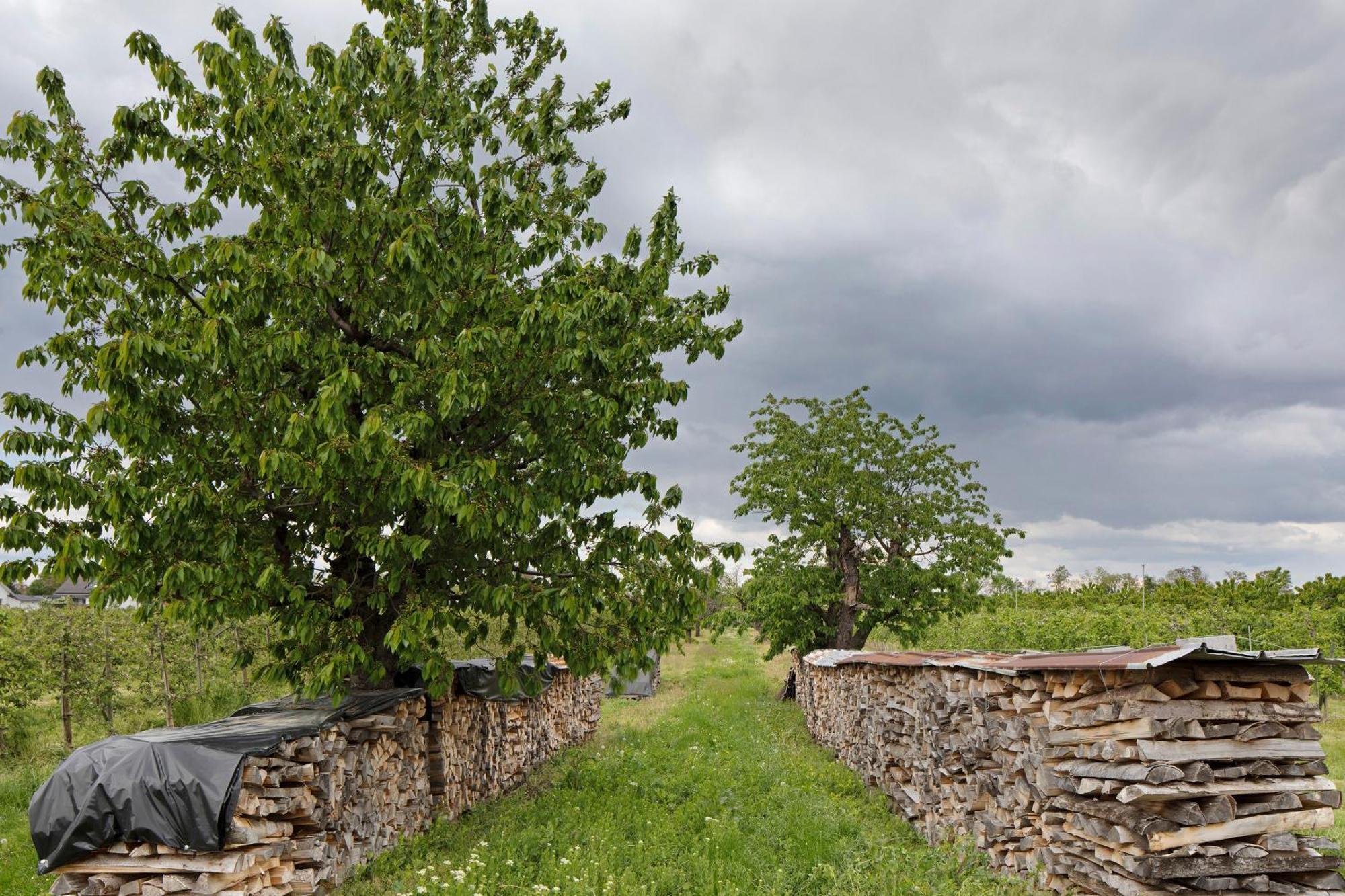 Ferienhof Schloessle Sasbach am Kaiserstuhl Ngoại thất bức ảnh