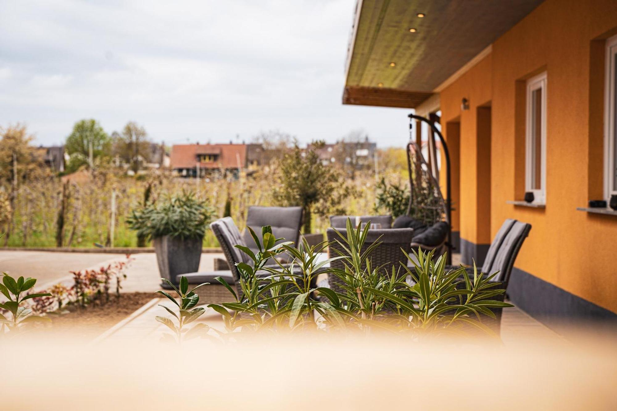 Ferienhof Schloessle Sasbach am Kaiserstuhl Ngoại thất bức ảnh