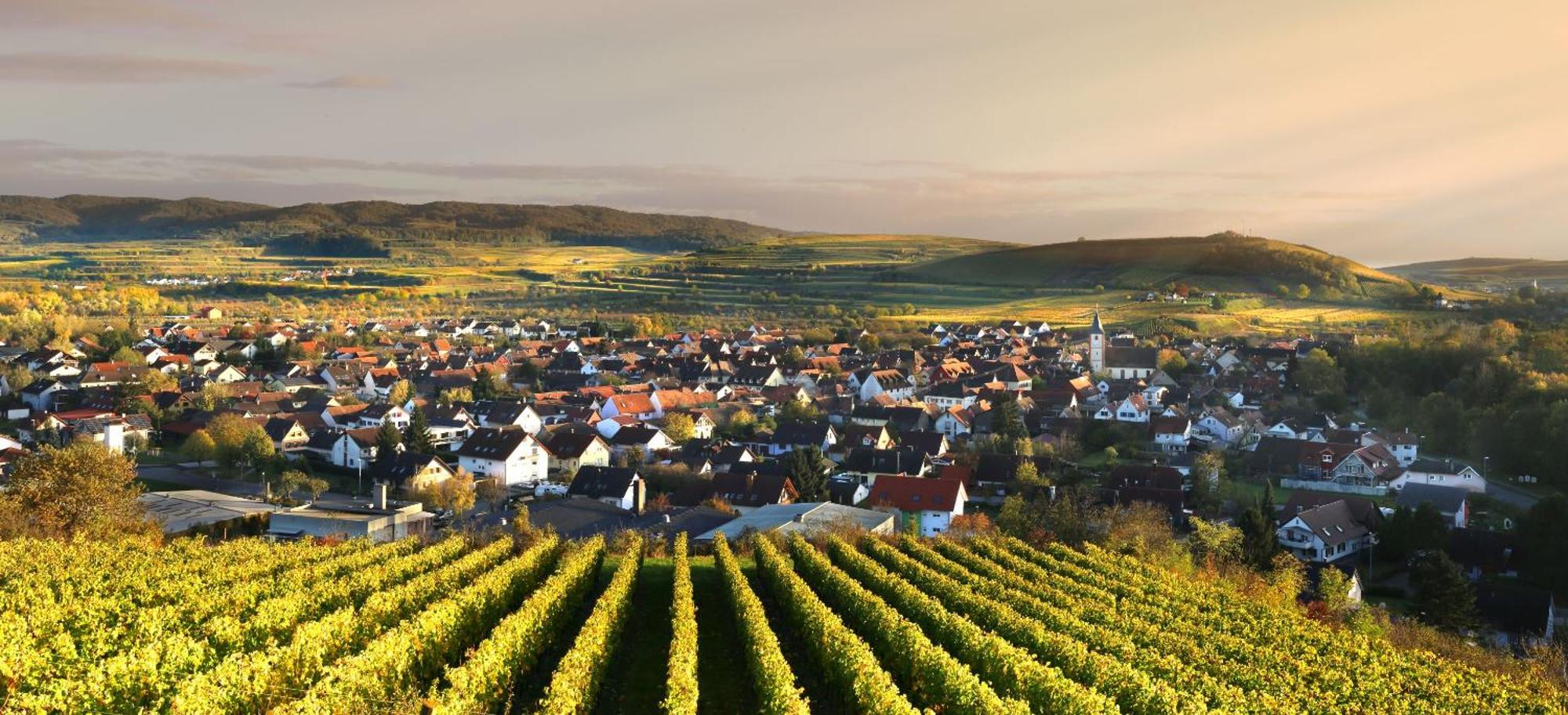 Ferienhof Schloessle Sasbach am Kaiserstuhl Ngoại thất bức ảnh